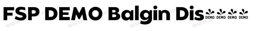 FSP DEMO Balgin Dis字体转换